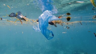 Jen pět společností je zodpovědných za 24 % plastového odpadu. EU jde s obaly bojovat, má nový zákon